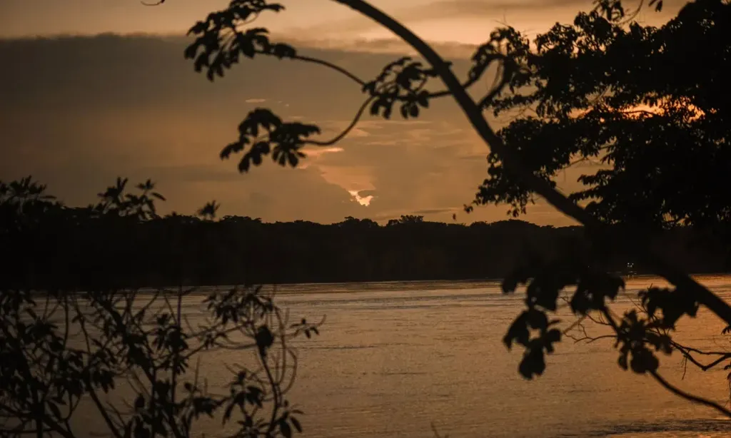 Colpa de Loros de Cachuela