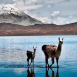 Conoce los requisitos para entrar a Perú en 2025: documentos, visas, vacunas, permanencia y consejos prácticos para turistas.