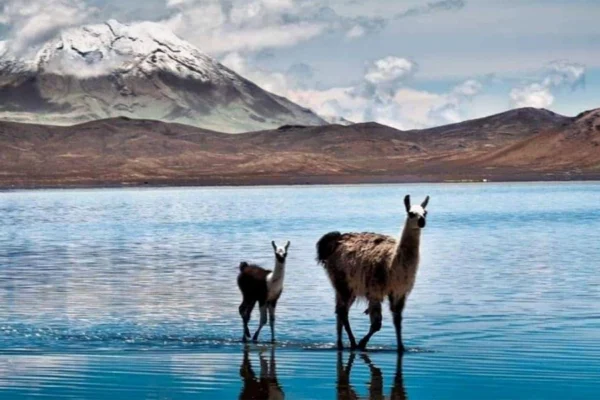 Conoce los requisitos para entrar a Perú en 2025: documentos, visas, vacunas, permanencia y consejos prácticos para turistas.