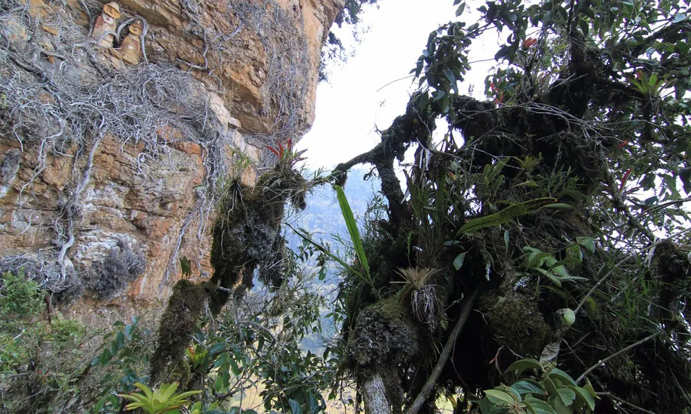 Sarcófagos de Karajía
