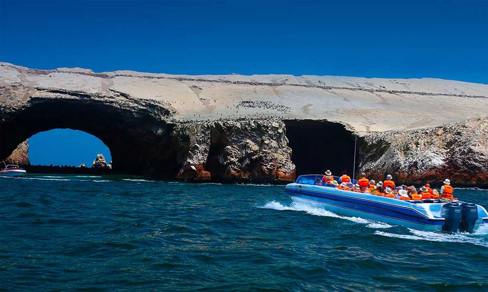 Tour Islas Ballestas y Vuelo sobre las Líneas de Nazca | Salida desde Lima
