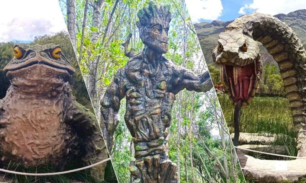 Humedal de Huasao & Duendes en cusco