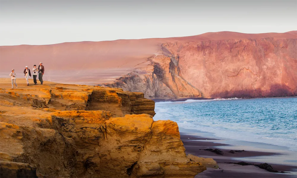 Reserva Nacional de Paracas