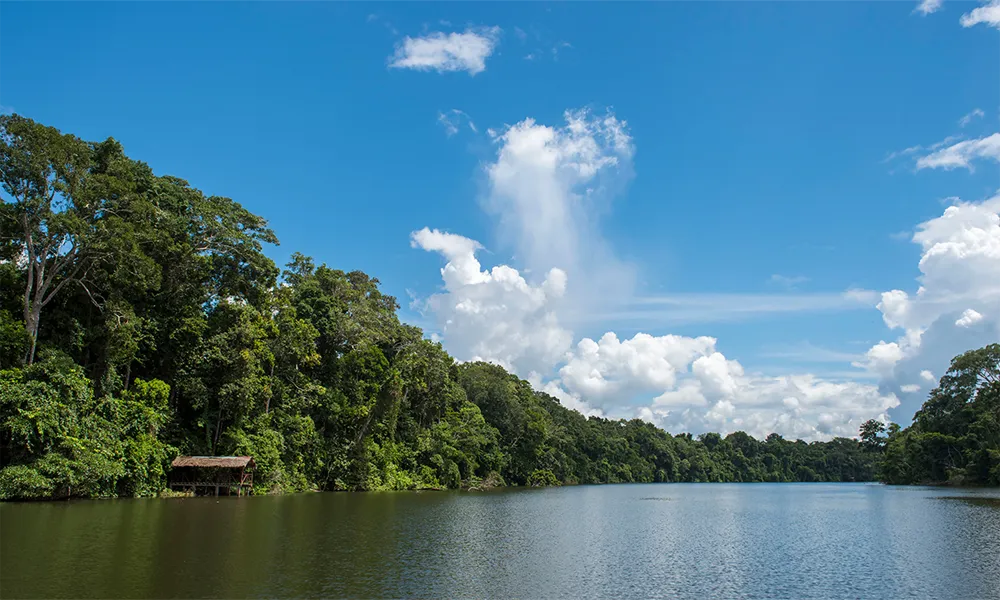 Reserva Natural del Manu