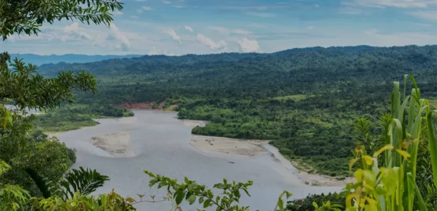 7-9 Day Tours to Manu: What the Deep Jungle Experience Is Like