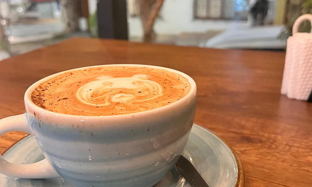 Ruta del Cafe: Cusco