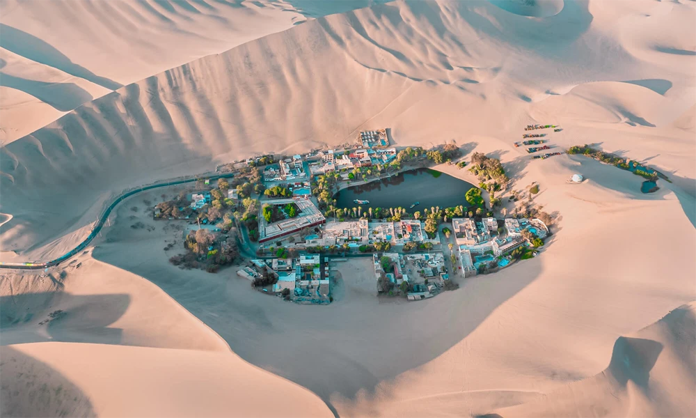 Escapada a Ica y Paracas | 3D/2N de Mar, Desierto y Cultura