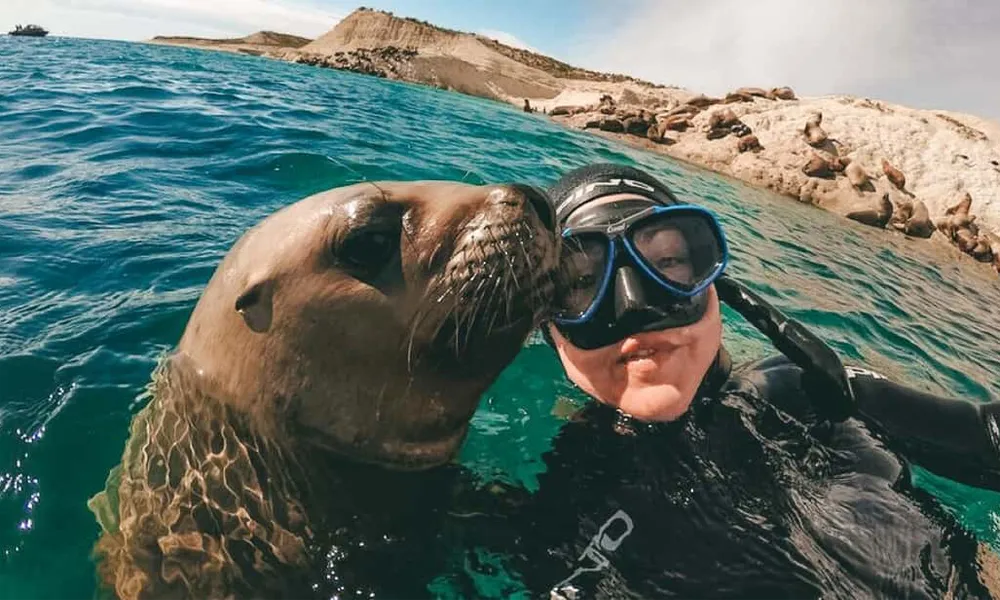 Buceo en las Islas Palomino y su fauna marina