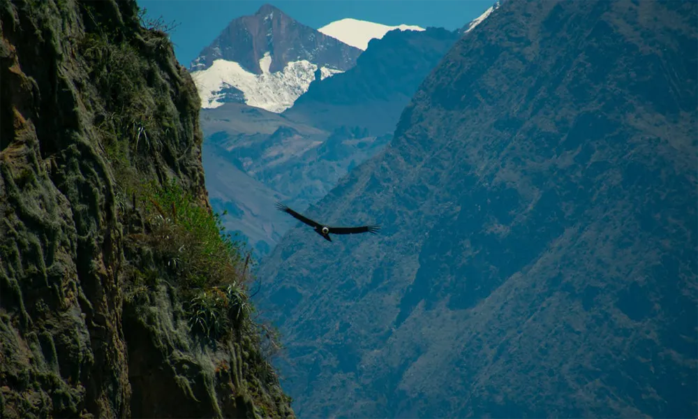 Circuito de los Miradores Secretos del Colca