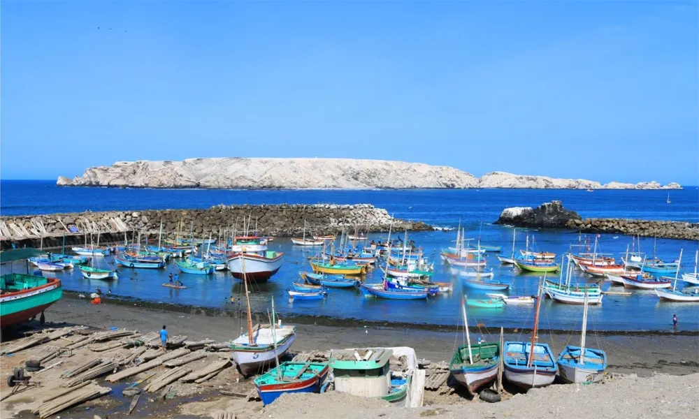 Isla Foca en Piura