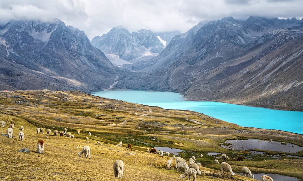 Laguna Singrenacocha