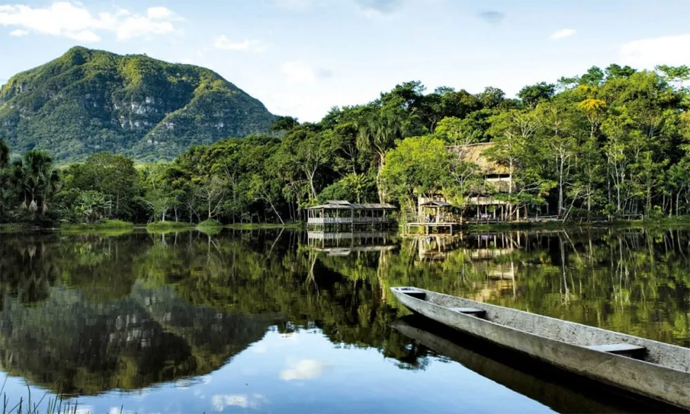 Rutas de Avistamiento de Orquídeas en Moyobamba y Tarapoto