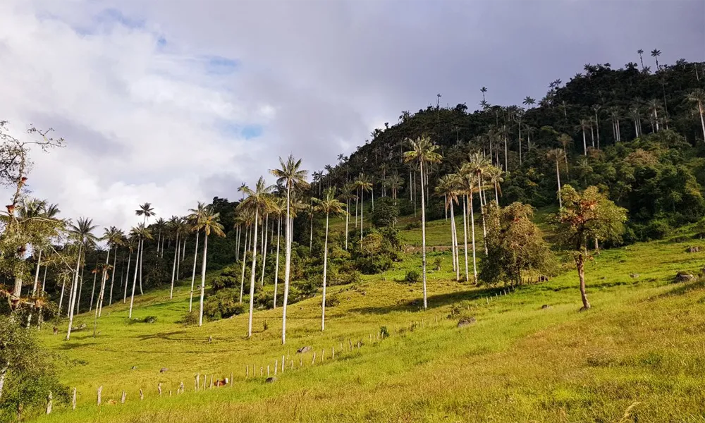 Rutas de Senderismo en el Parque Nacional Cutervo