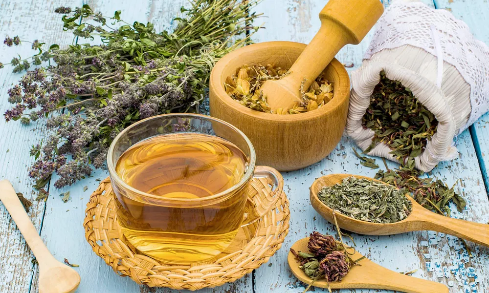 Rutas para Conocer la Flora Medicinal Amazónica