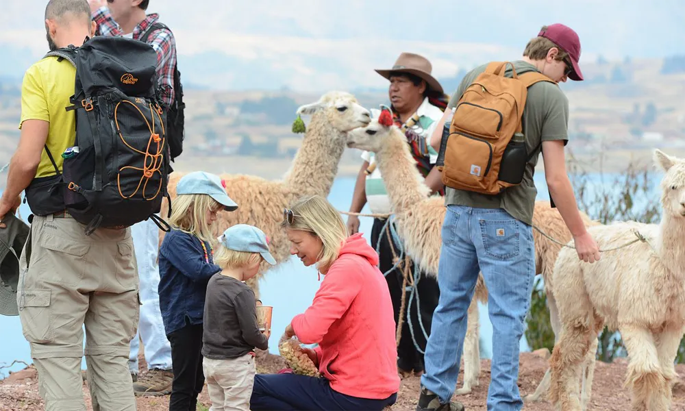 Terapia con alpacas en Chinchero