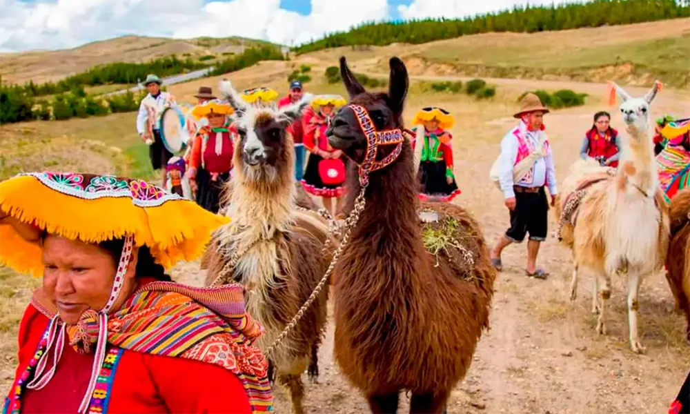 Terapia con alpacas en Chinchero
