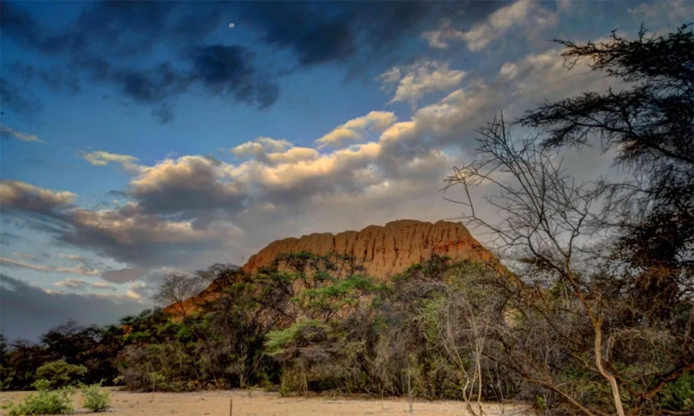 Bosque de Punacancha (Cusco)