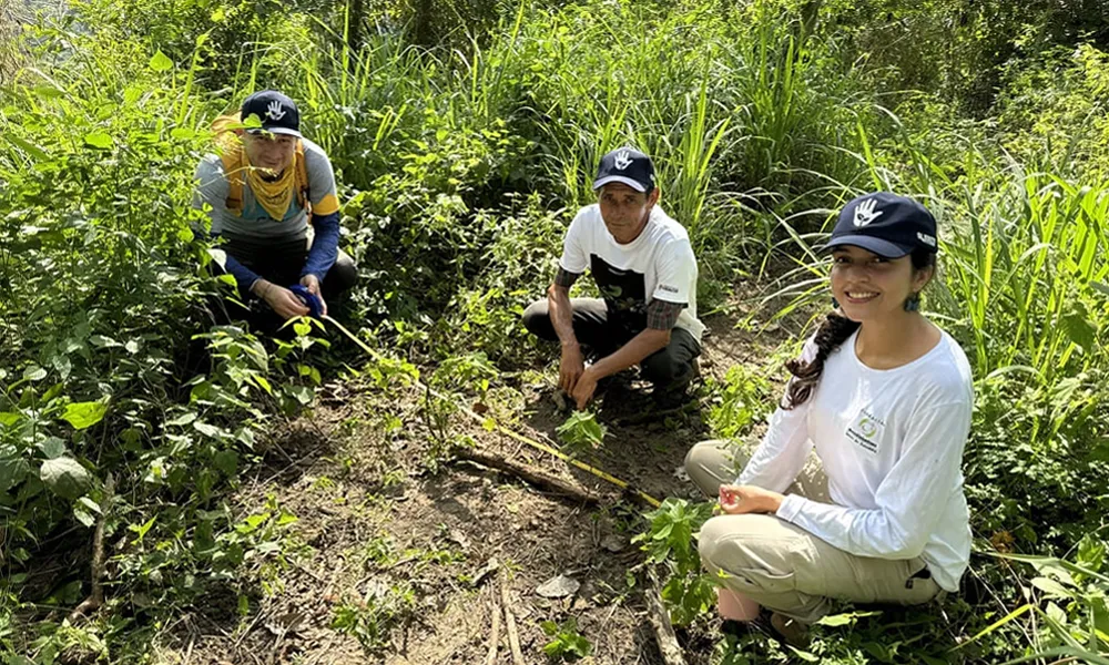 ecologia