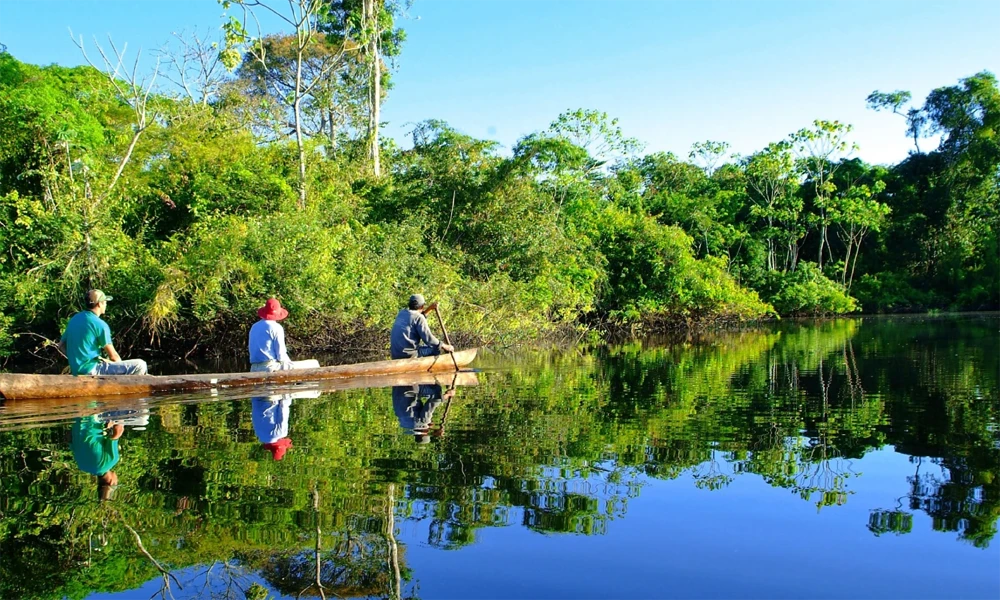 Excursão à colpa de papagaios no Lago Sandoval Excursão à colpa de papagaios no Lago Sandoval