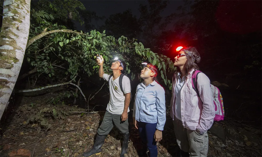 Ecomuseos Emergentes en el Perú