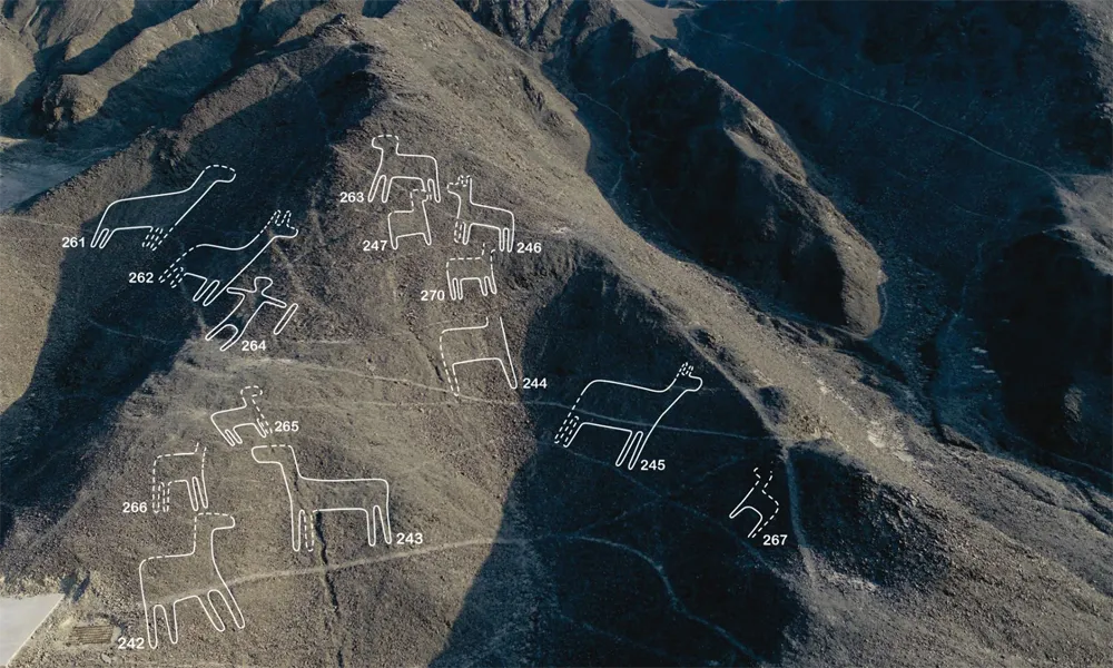 “Rutas de geoglifos ocultos en Palpa y Camilaca”