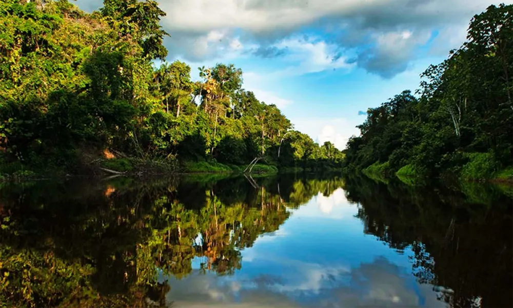 Santuario Nacional Megantoni 

