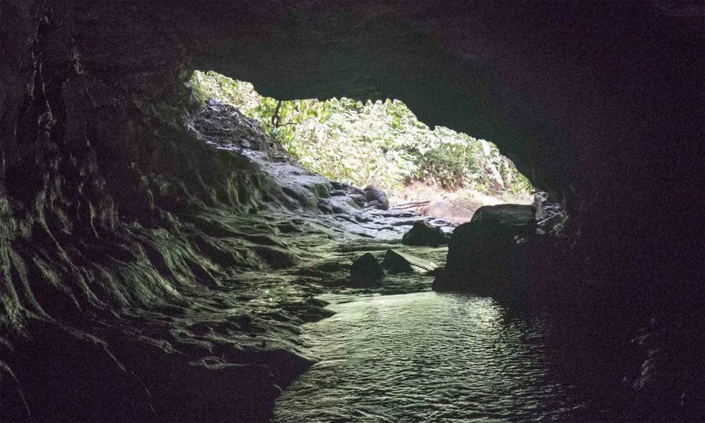 Aventura en el Río Yanayacu 
