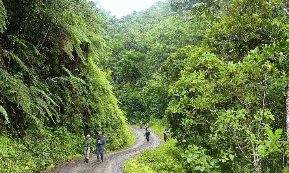 Aventura en el Río Yanayacu 