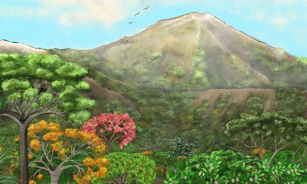 Bosque Petrificado de Piedra Chamana en Sexi, Cajamarca