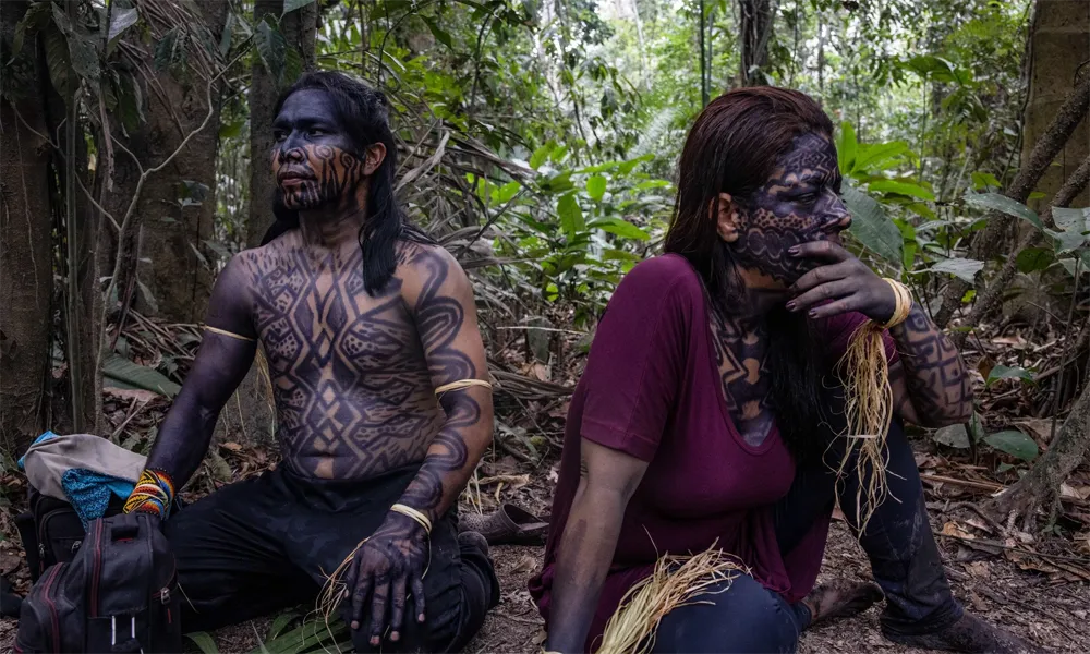 Cantos Chamánicos Para Invocar Jaguares