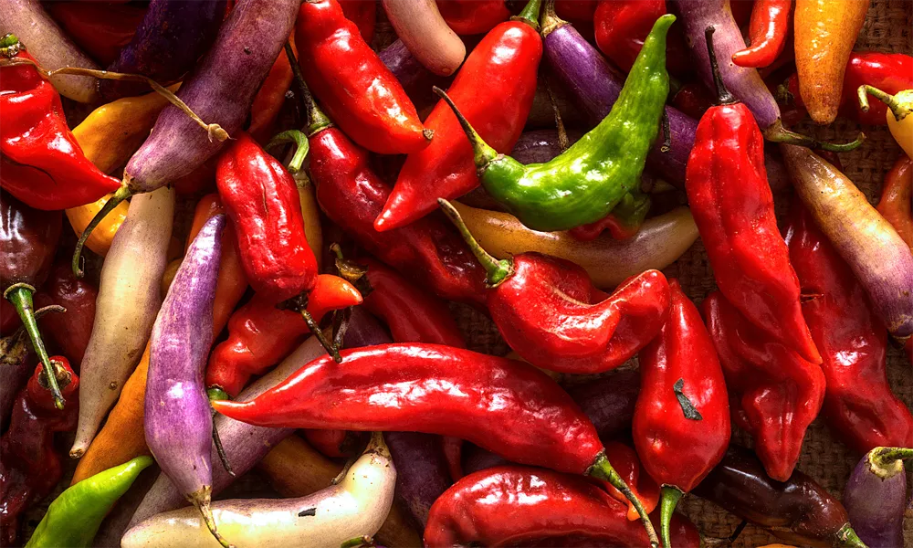 Chutneys peruanos inspirados en ajíes nativos