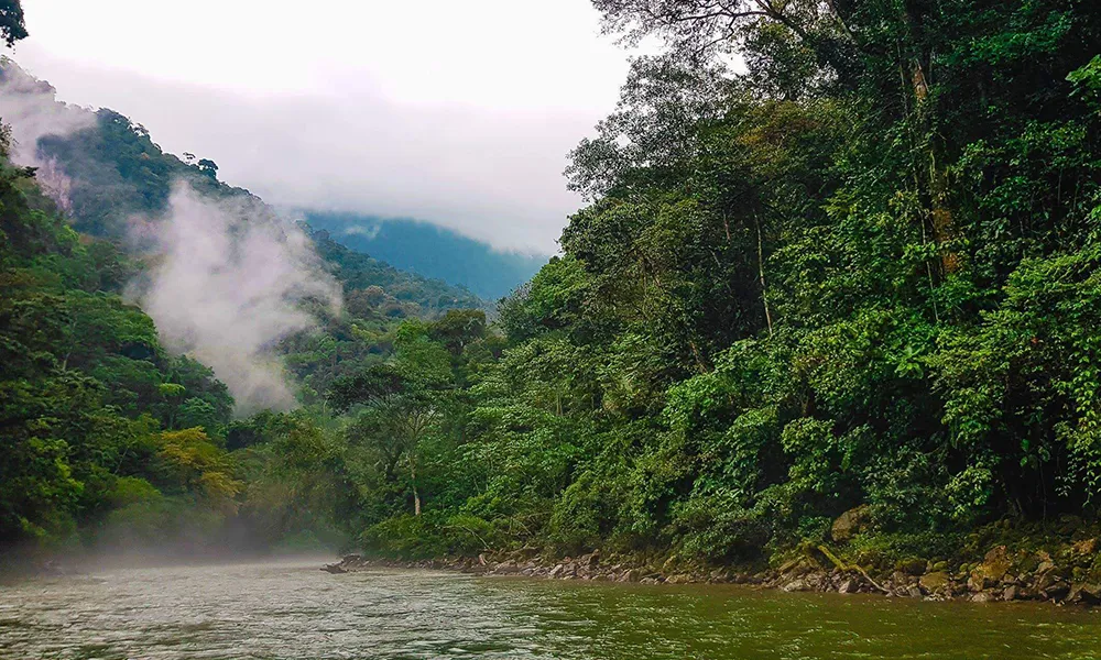 Transporte en Perú para turistas panameños