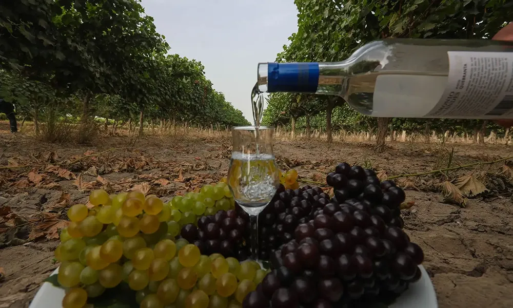 El Pisco y la Independencia del Perú