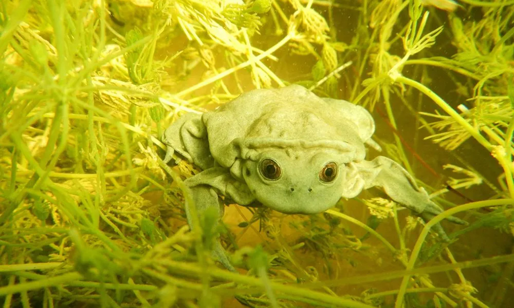 Seguridad y estado del Perú para turistas