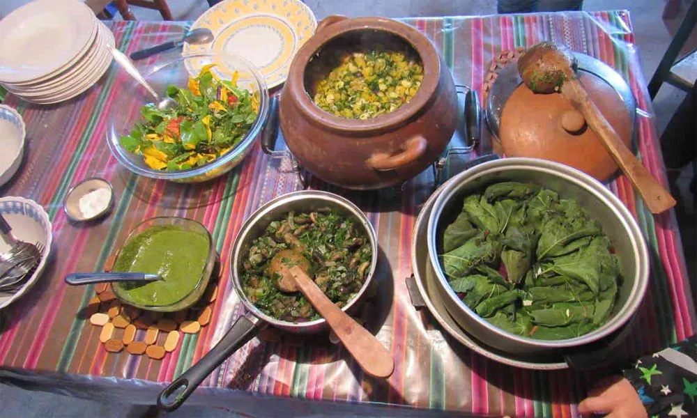 El uso ancestral de plantas marinas comestibles en Perú