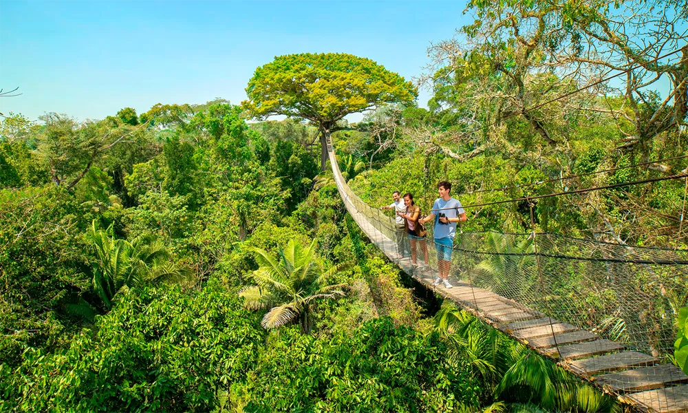Experiencias Etnobotánicas en Loreto