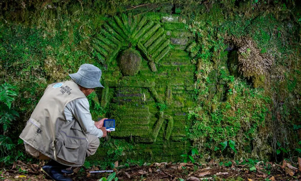 Gran Pajatén en la selva norte