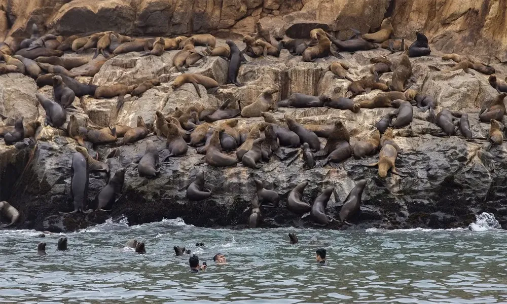 Islas Cavinzas y sus formaciones rocosas