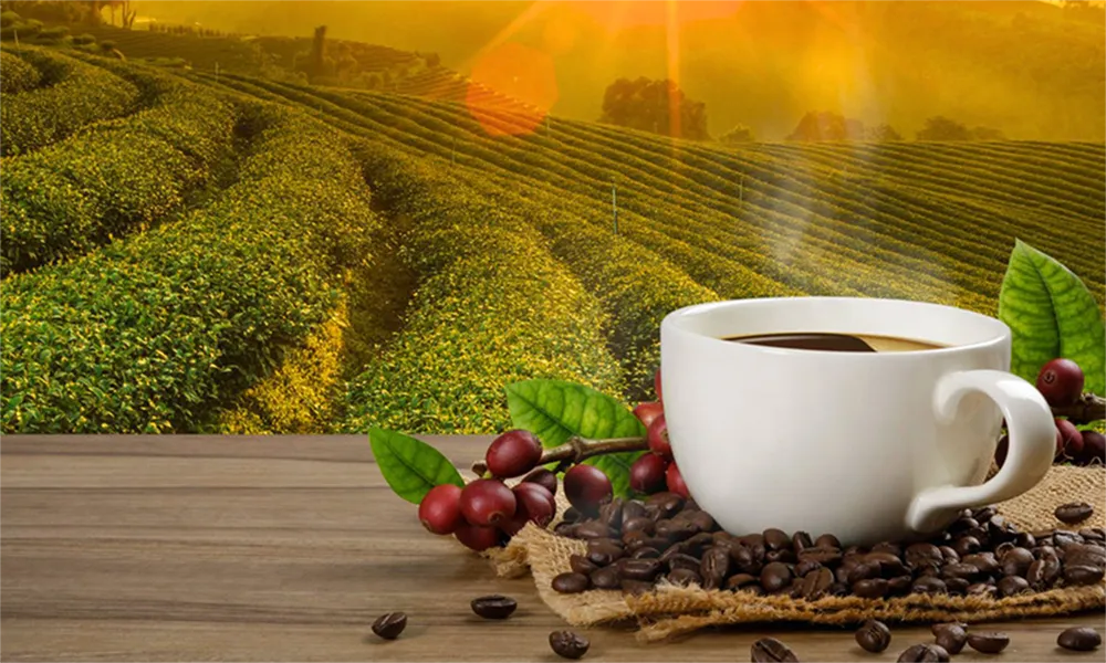 La Capital del Mejor Café del Perú