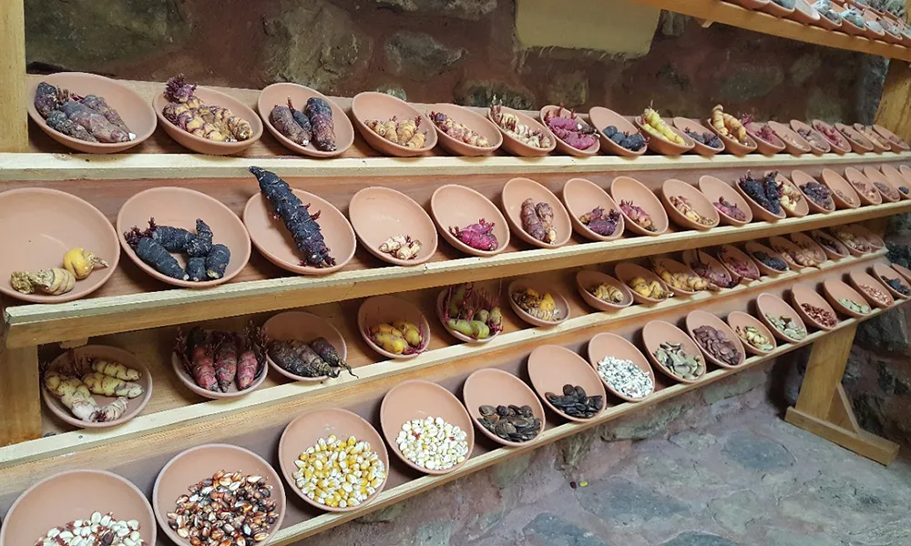 Parque de la Papa en Pisac