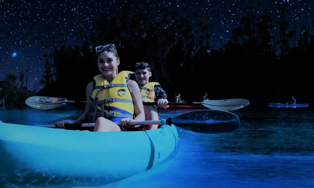 Paseos Nocturnos De Bioluminiscencia Natural