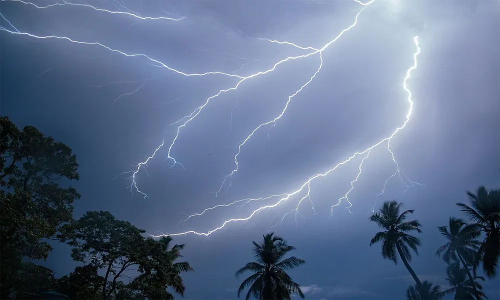 Relámpagos perpetuos de la selva peruana