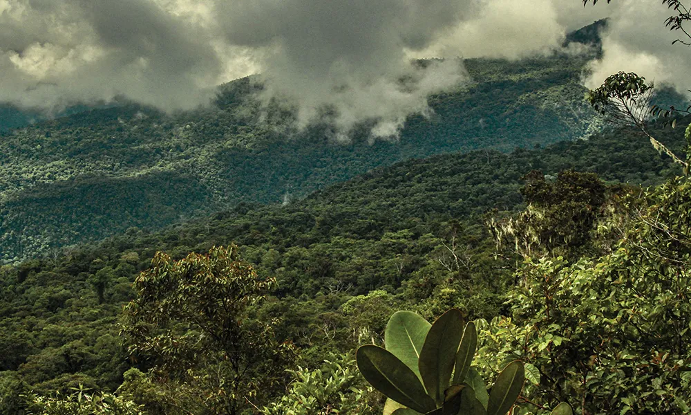 Naturaleza, paisajes y aventura para turistas paraguayos en Perú