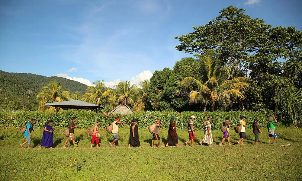 Language and Visitor Facilities for American Travelers in Peru