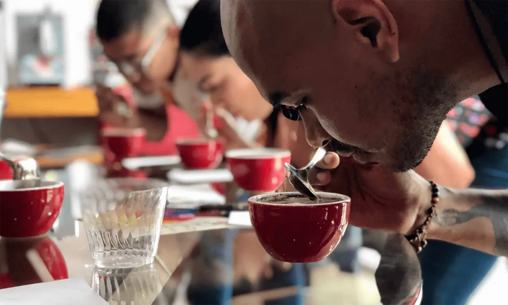 Talleres de Barismo y Catas de Café en Perú