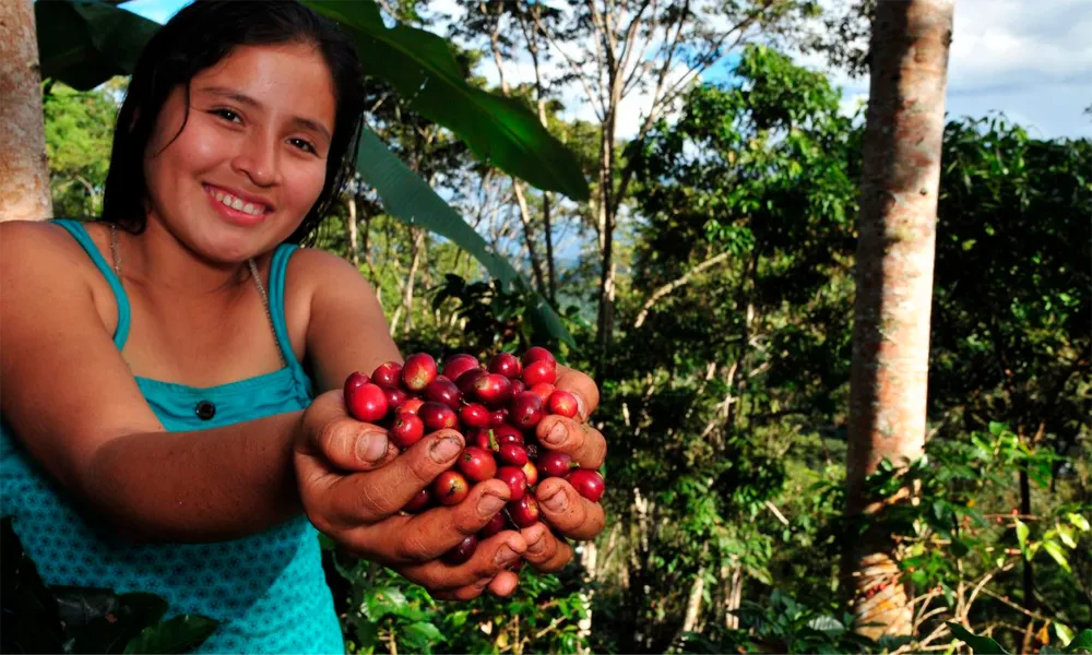Turismo Vivencial en Fincas Cafeteras del Perú