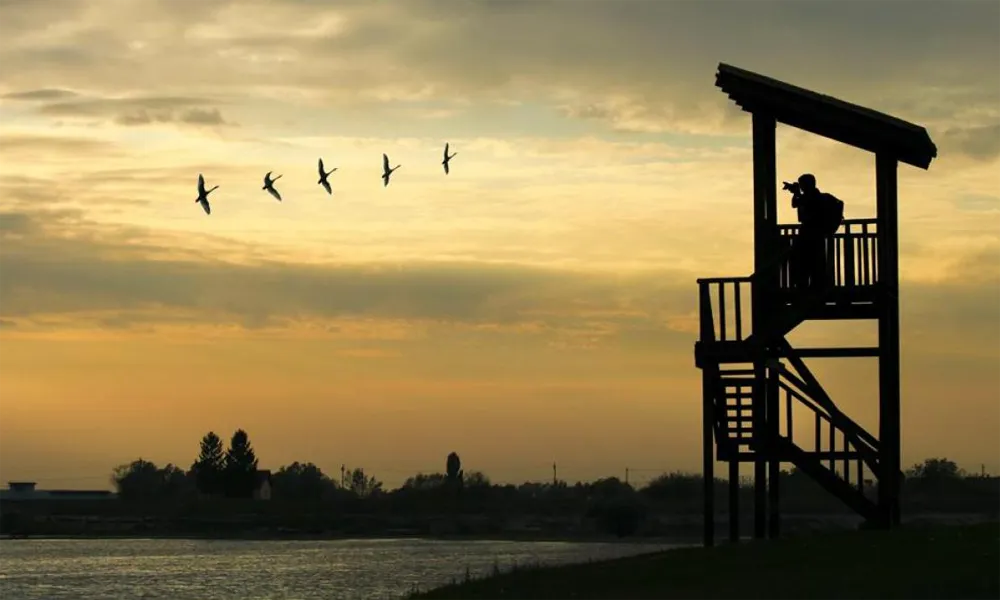 Viajes exclusivos para observar aves exóticas