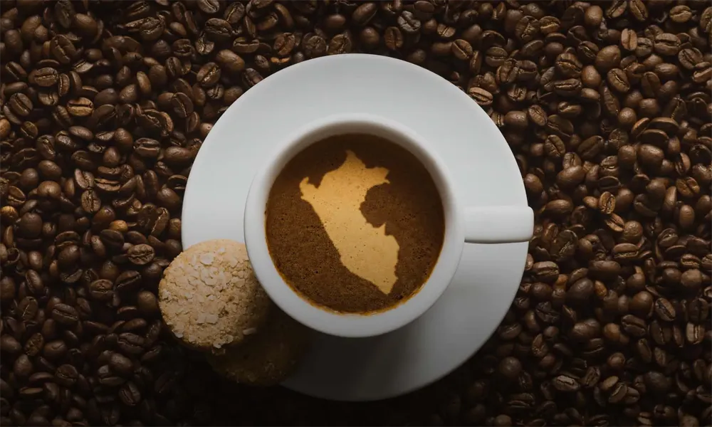 Vive la cosecha del café