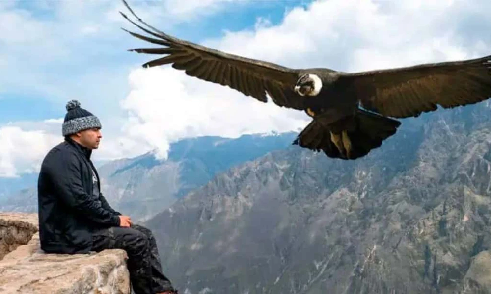 2D Colca Canyon Tour with connection to Lake Titicaca | Puno |
