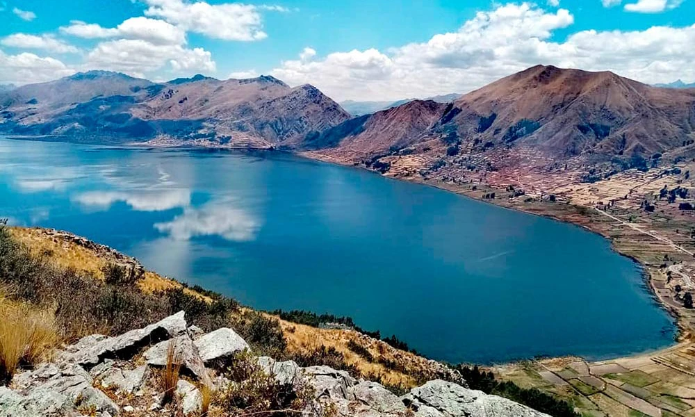 Four Lagoons Circuit | Native Birds